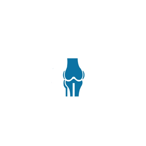 Knee Joint Preservation